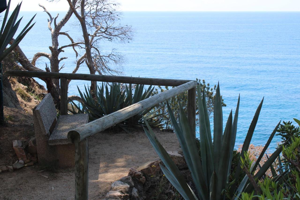 Apartamento A 100M De La Playa Tossa de Mar Exterior foto